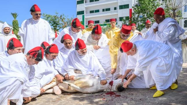 أمير المؤمنين يؤدي صلاة عيد الأضحى المبارك بمسجد الحسن الثاني بتطوان ويتقبل التهاني بهذه المناسبة السعيدة